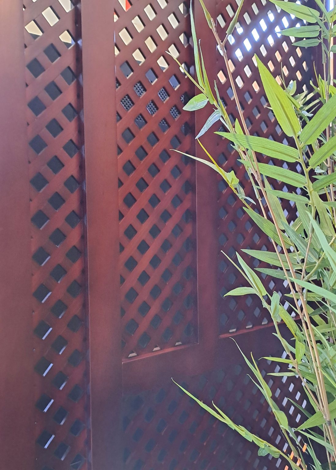 omarceneiro-by-travel-10